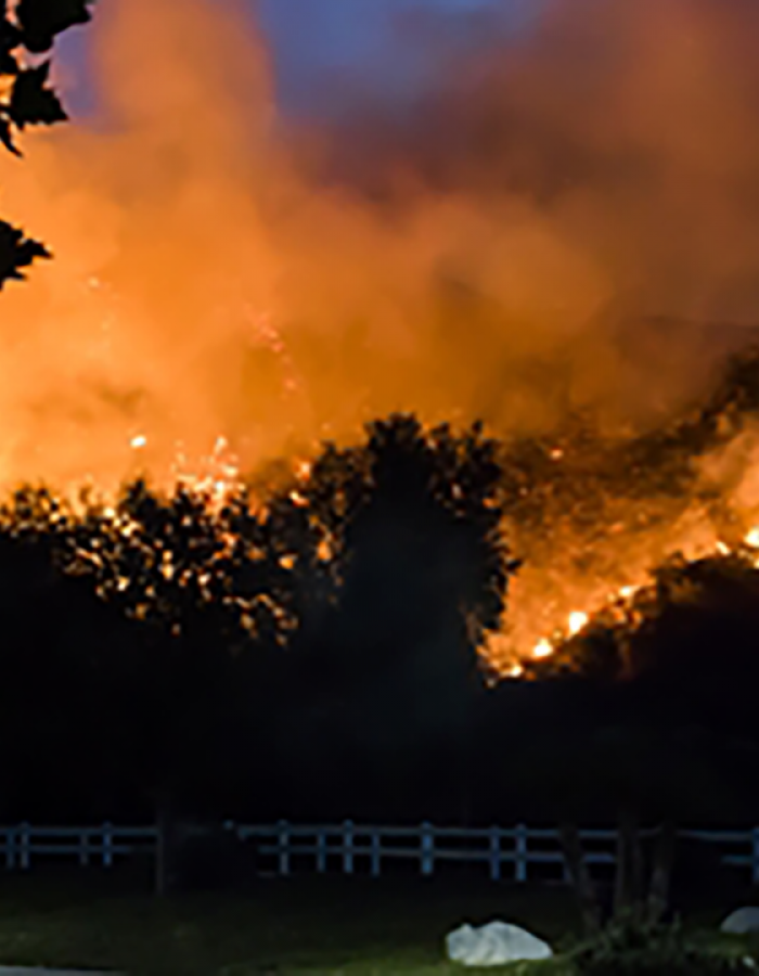 Wildfire Season