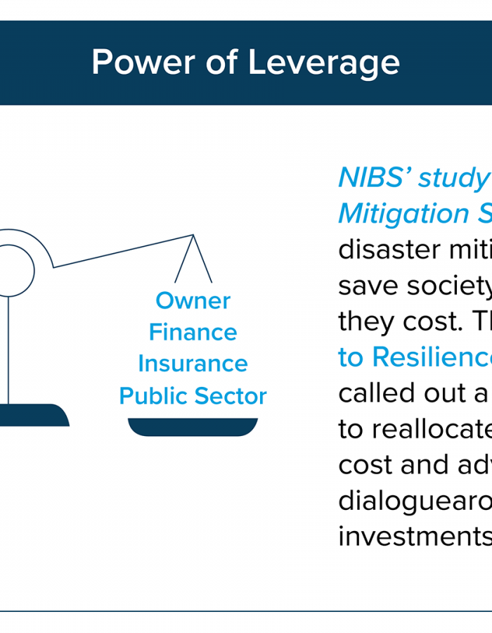 Building Resilient Communities by Incentivizing Investments